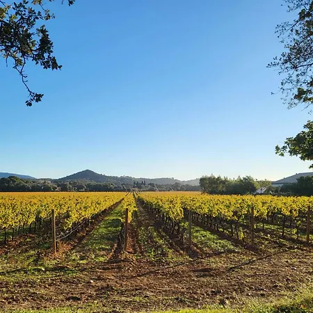 Vue D'or Les Pieds Dans L'eau Lägenhet *